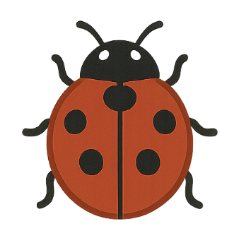 lieveheersbeestje brent geluk